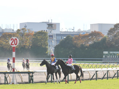 2021/11/06 東京10R