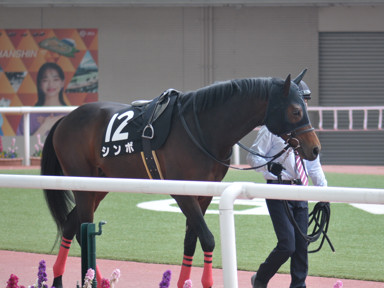 2022/03/12 阪神10R