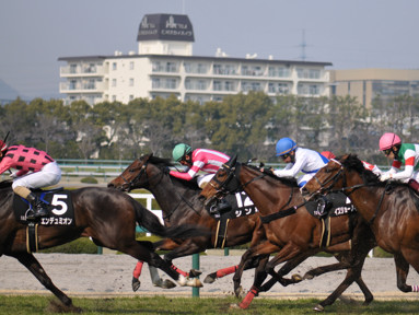 2022/03/12 阪神10R