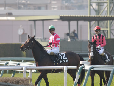 2022/03/12 阪神10R
