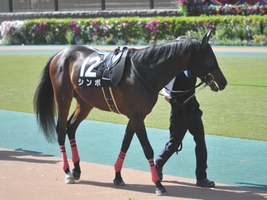 2022/04/30 東京10R