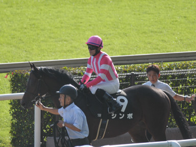 2022/04/30 東京10R