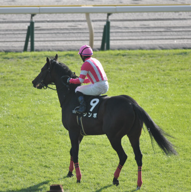 2022/10/23 東京10R