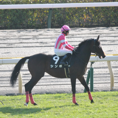 2022/10/23 東京10R