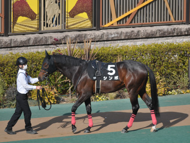 2023/02/19 東京10R