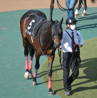 2023/02/19 東京10R