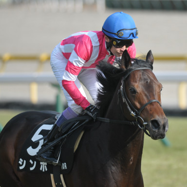2023/02/19 東京10R