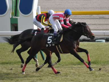 2023/02/19 東京10R