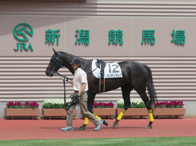 2018/05/06 新潟04R