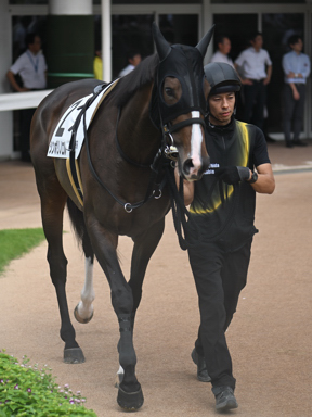 2025/09/14 中山08R