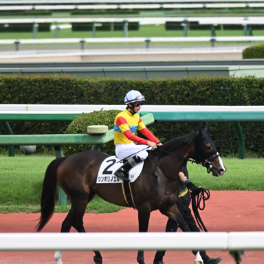 2025/09/14 中山08R