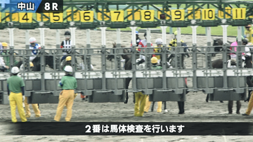 2025/09/14 中山08R