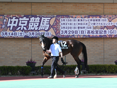 2026/03/14 中京11R