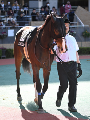 2026/03/14 中京11R