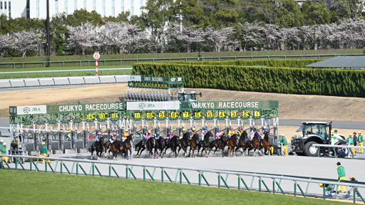 2026/03/14 中京11R