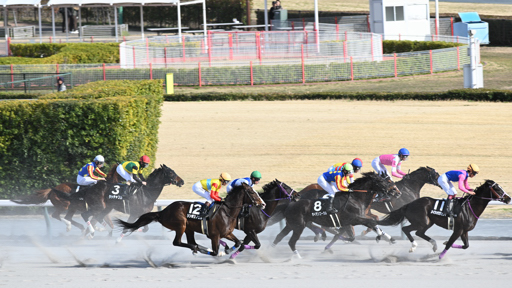 2026/03/14 中京11R