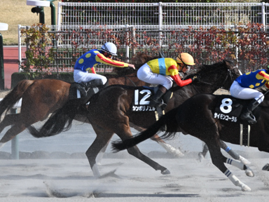 2026/03/14 中京11R