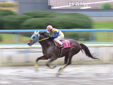 2016/11/27 金沢09R