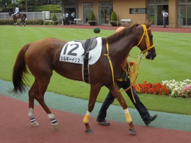 2008/07/26 新潟07R