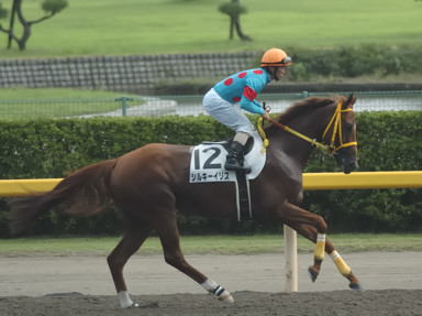 2008/07/26 新潟07R