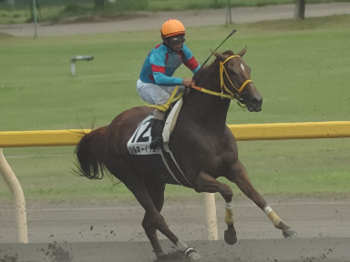 2008/07/26 新潟07R
