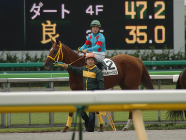 2008/10/19 東京05R