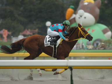 2008/10/19 東京05R