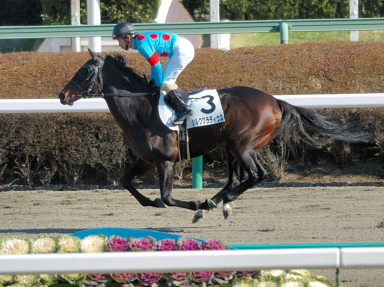 2008/01/27 中山08R