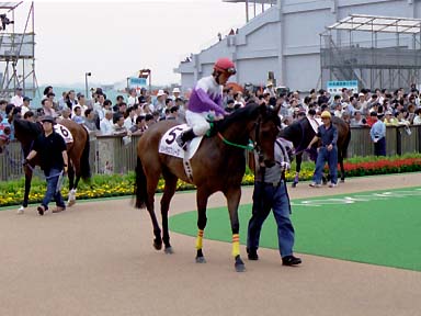2003/05/24 東京07R