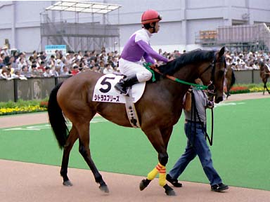2003/05/24 東京07R
