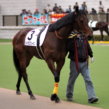 2005/02/12 東京12R