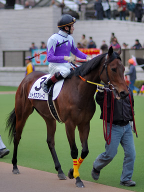 2005/02/12 東京12R
