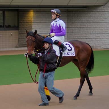 2005/02/12 東京12R