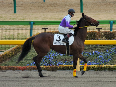 2005/02/12 東京12R