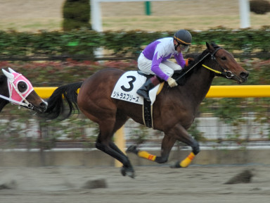 2005/02/12 東京12R