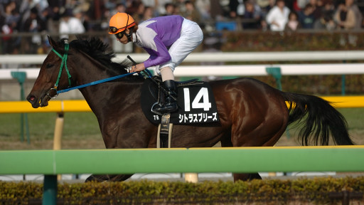2005/11/27 東京07R