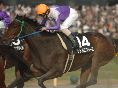 2005/11/27 東京07R