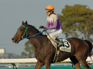 2006/03/25 中山12R