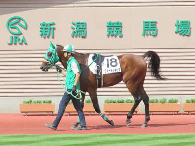 2019/10/05 新潟06R