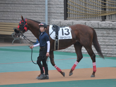 2021/06/20 東京12R