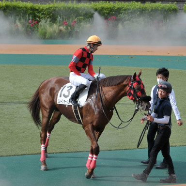 2021/06/20 東京12R