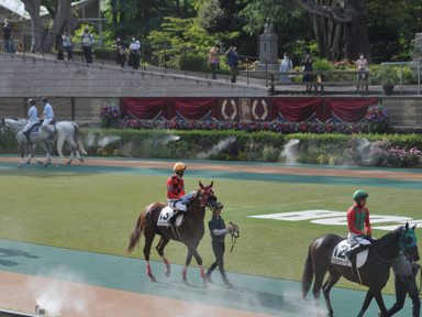 2021/06/20 東京12R