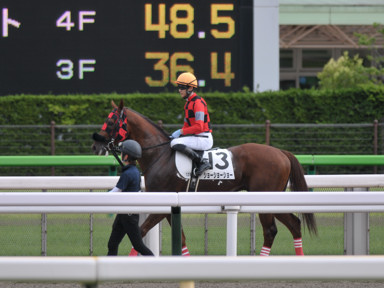 2021/06/20 東京12R