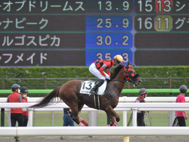 2021/06/20 東京12R