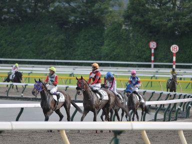2021/06/20 東京12R