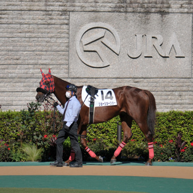 2021/10/24 東京08R