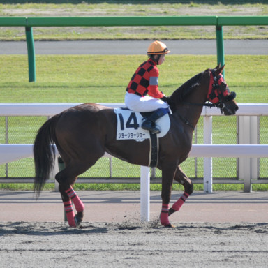 2021/10/24 東京08R