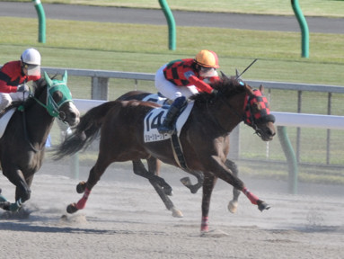 2021/10/24 東京08R