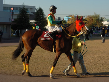 2006/12/06 船橋10R