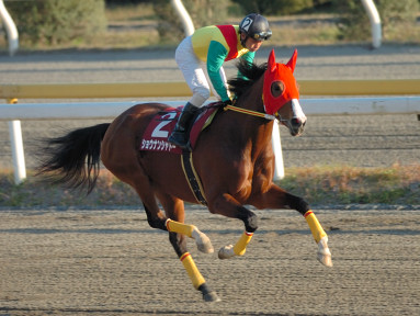 2006/12/06 船橋10R